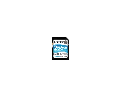 Карта пам'яті Kingston 256GB SDXC class 10 UHS-I U3 Canvas Go Plus (SDG3/256GB)